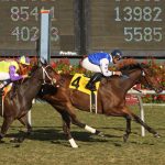 【特集】競馬の未来。テクノロジーの進化とその影響